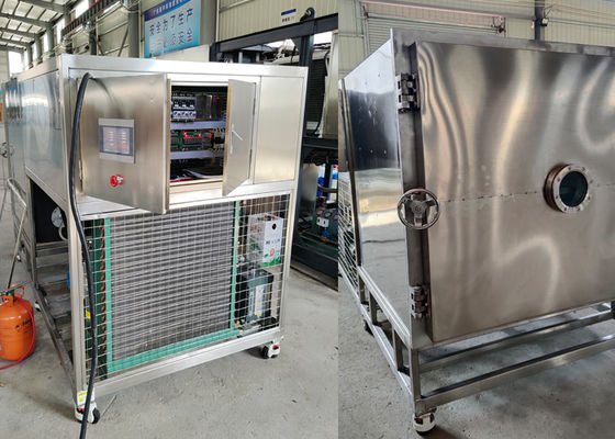 Grote capaciteit 300 kg Voedsel vacuüm vriesdroger machine