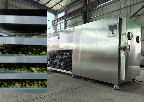 Krachtige Bitzer / Leybold koelsysteem vriesdroger voor fruit