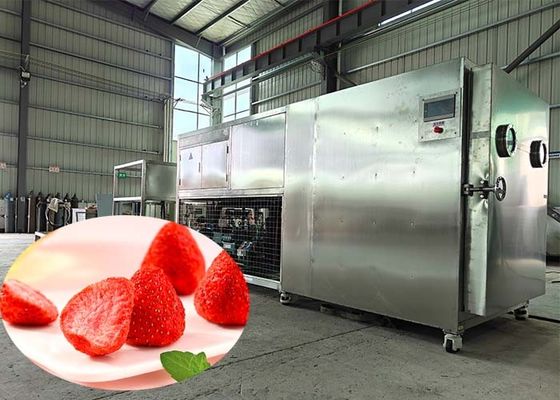 Industriële PLC-controle lyophilisator droogmachine voor de farmaceutische industrie