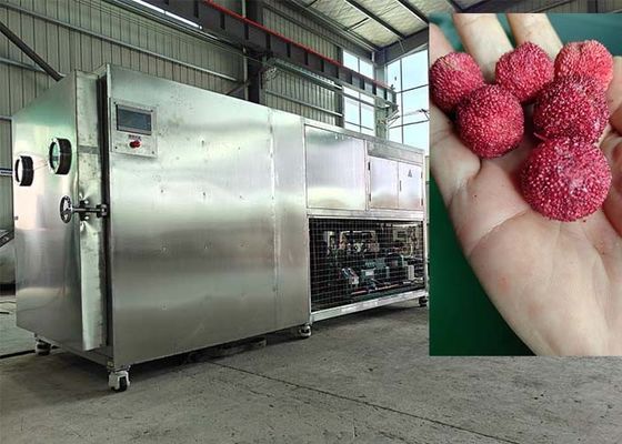 PLC-gecontroleerde vacuümvriesdrogemachine 30-35 kg/partij