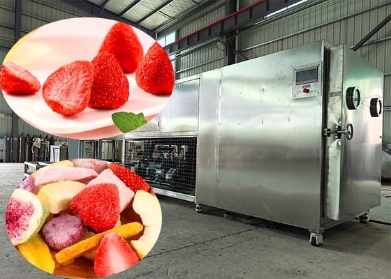 100 kg/batch Vriesdrogemachine Lyophiliser met PLC-besturing