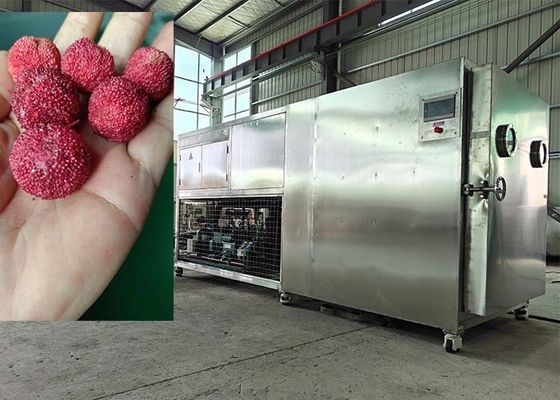 200 kg intelligente voedsel lyophilisator vriesdroging machine