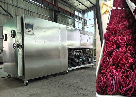 200kg 500Kg Grote capaciteit Lyophilizer Vriesdroger Machine