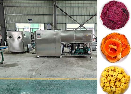PLC-gecontroleerde intelligente vruchtenvriezer droogmachine
