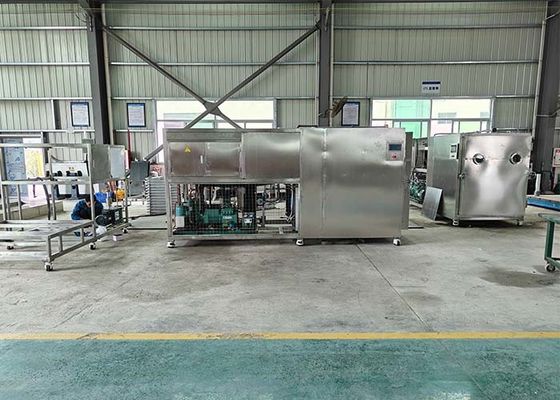 Industriële voedingsmiddelen vacuüm vriesdroger voor grootschalige productie