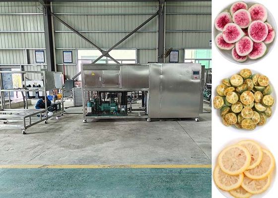 Air Cooling Food Lyophilizer Vriesdroger Met -35~-45°C Dampcondensator