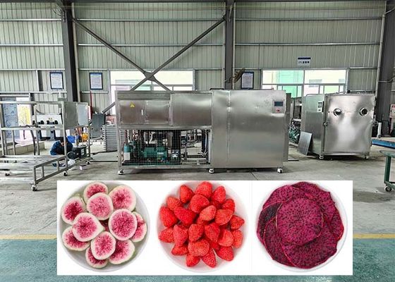 Efficiëntie Professionele vriesdehydrator met koude val -40°C