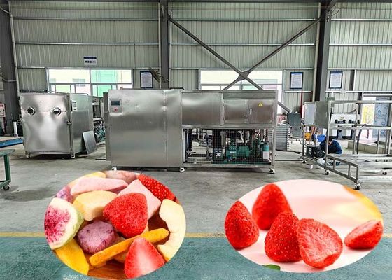 100 kg per partij Industriële vriesdroger met 60 dB