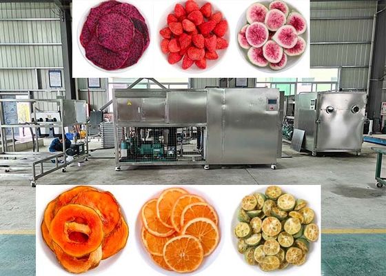 Vacuüm 10Pa Vriesdroger Lyofiliseringsmachine Met PLC-besturing