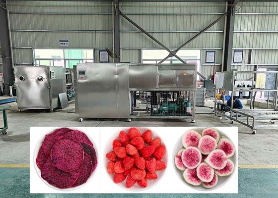 38 kW elektrische verwarming ontdooiing lyophilizer vriesdroger machine