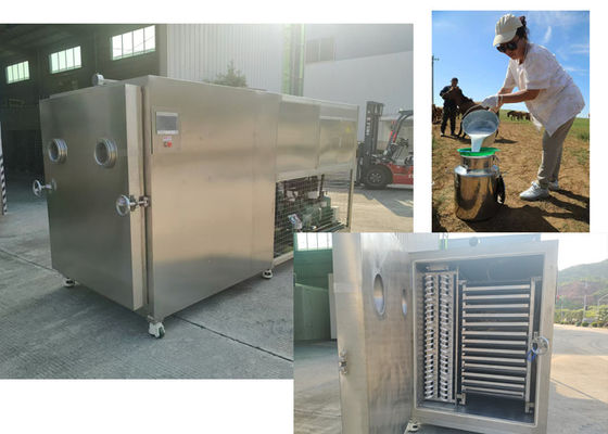 Compact ontwerp voedsel groenten vriesdroger met Baosi of Bitzer