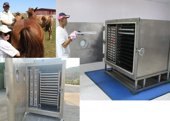 Vriesdroger voor groenten met