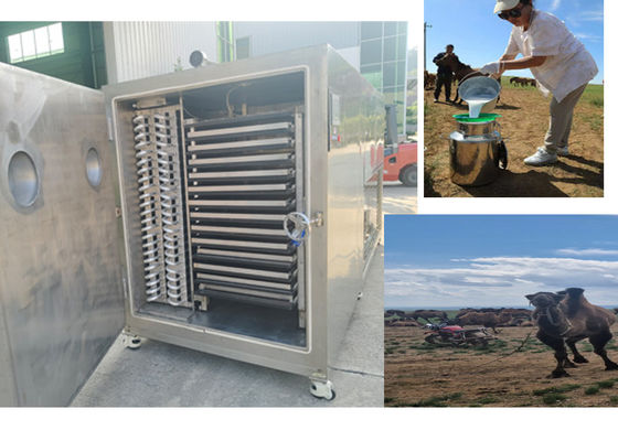 Compact ontwerp Vriesdroogfruitmachine met  koelsysteem
