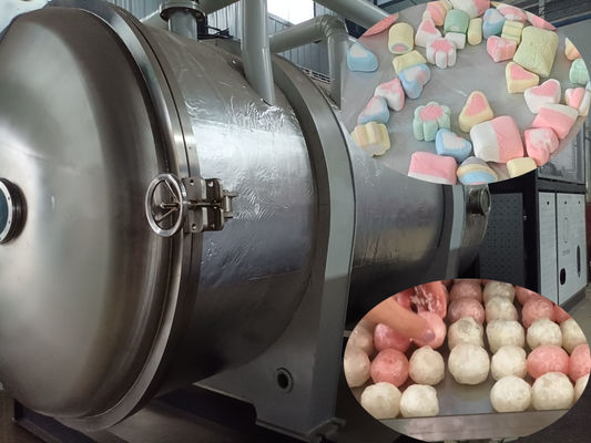 500 kg industriële voedingsmiddelen vriesdroger Grootschalige lyophiliser voor voedselverwerking