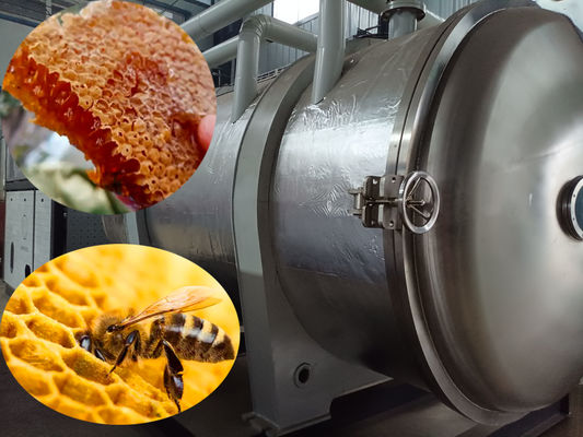 Persoonlijke droogindustrie Vriesdrogerapparatuur Vriesdroge honing