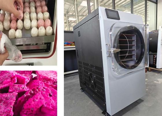 2 kW roestvrij staal thuis vriesdroger voor voedselconservering