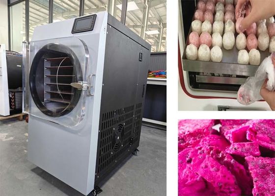 PLC-besturingssysteem 304 roestvrij staal vriesdroger voor thuisgebruik
