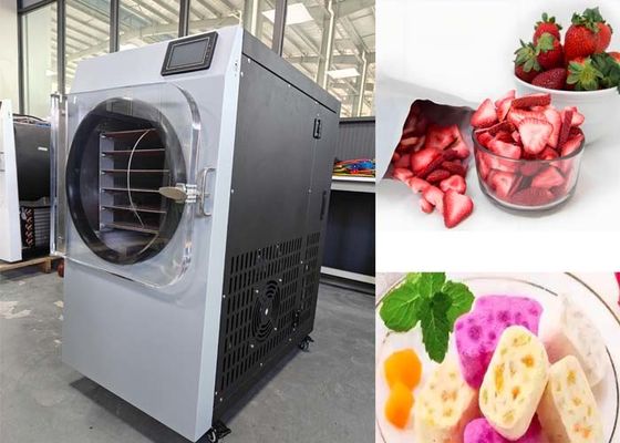 Vacuüm System Kleine vriesdrogers voor de farmaceutische industrie
