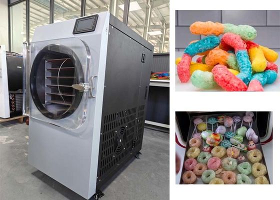 Candy Freeze Dryer Koop Chocolade IJscreme Freeze Drying Machine 6kg Capaciteit
