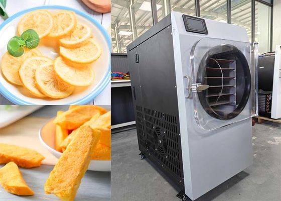 Elektrische verwarming 304 roestvrij staal voedselvriezer voor thuisgebruik