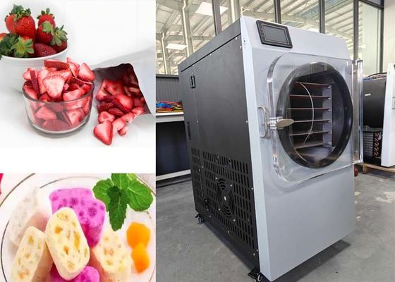 220V 20-25kg capaciteit Vriesdrogemachine voor thuis
