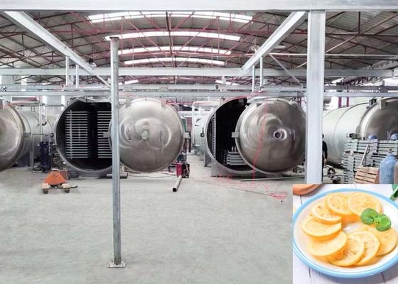 1000 kg capaciteit Industriële automatische vriesdroger voor voedseltoepassingen