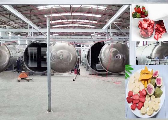 Geavanceerde industriële vriesdroger met PLC en afstandsbediening