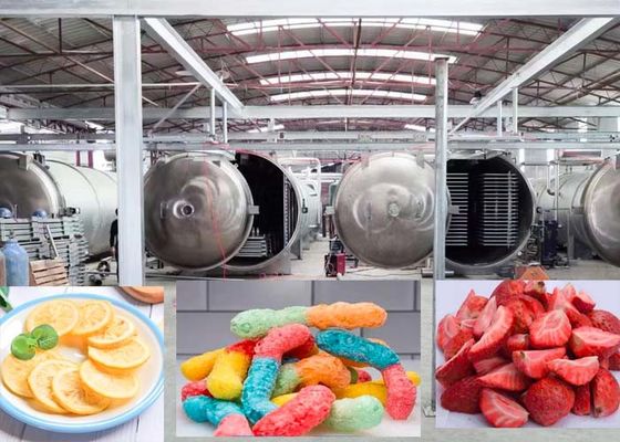 Farmaceutische 1000 kg vacuüm vriesdroger machine geavanceerde droogtechnologie