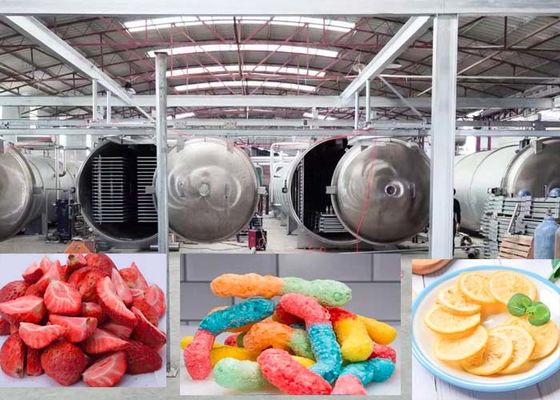 Industriële krachtige vriesdroger met automatische werking