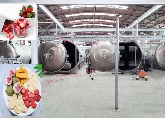 1000 kg krachtige vacuüm vriesdrogemachine voor industrieel gebruik