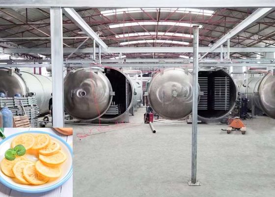 Grote industriële vriesdroger 1000 kg/partij Capaciteit