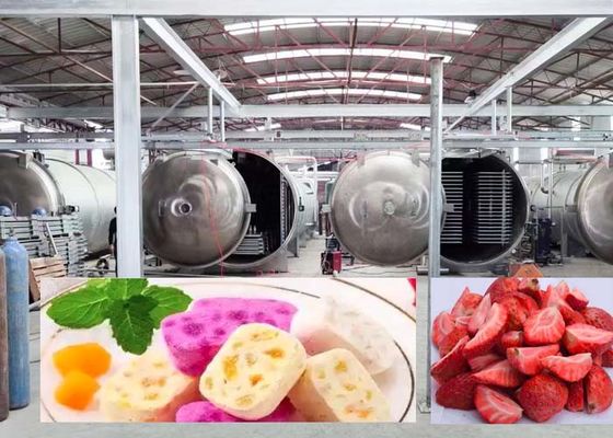 1000 kg grote vriesdroger voor snelle 20-24 uur precieze droge resultaten