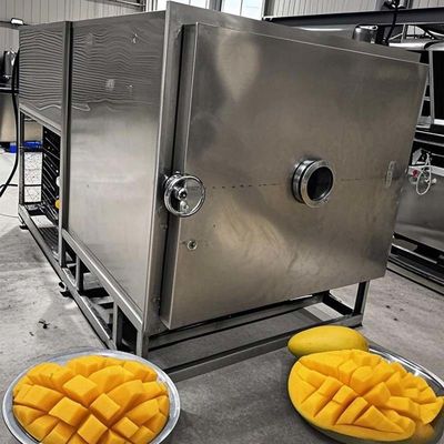 FreezeDryTech Pro Mango voedselopslag lyophiliser voor groenten en fruit