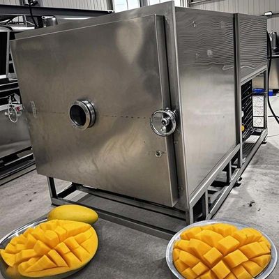 Vriesdrogemachine voor groenten en fruit Commerciële lyophilisator 100 kg capaciteit