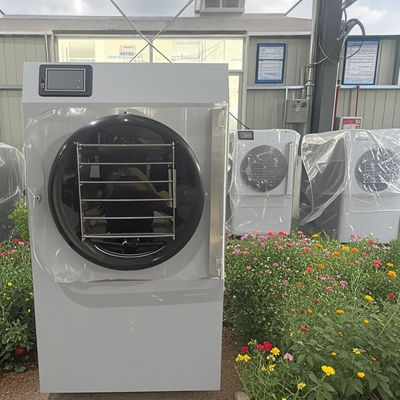 Geavanceerde compacte technologie 20 kg Kleine huisvriezer droogmachine Versheid Energiezuinig Mini dagelijks gebruik