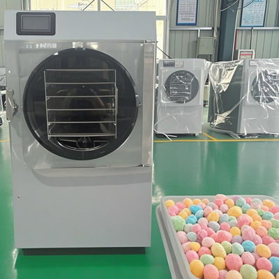 6 kg 10 kg 20 kg snel drogen kleine vriesdroger voor direct voedselbehoud ruimtebesparing
