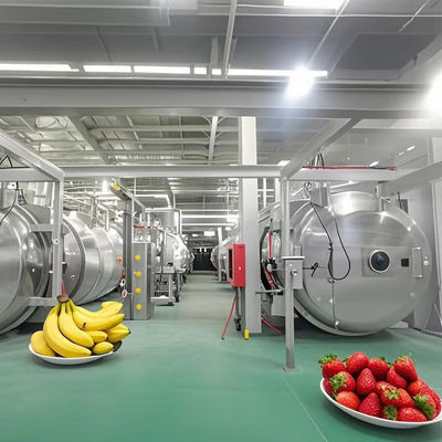Zware Industriële Vriesdroger 500kg voor Fruit / Groente / Koffie / Zeevruchten