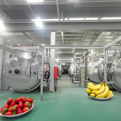 Commerciële industriële vriesdroogapparatuur met een capaciteit van 1000 kg voor laboratorium- / fabrieksgebruik