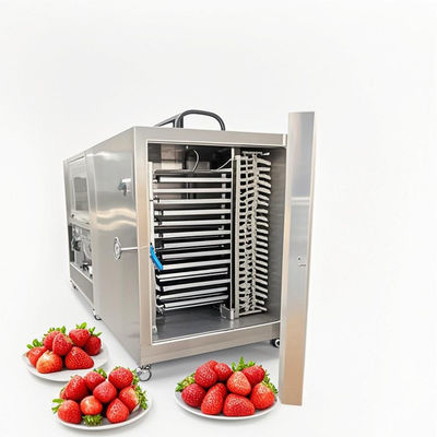 100 kg GMP Vriesdroger Machine Farmaceutische voedselkwaliteit Lyophilizatie