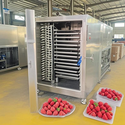 200 kg partij vriesdroger automatische besturing voor vlees / fruit uitdroging