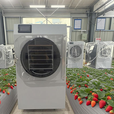 20 kg kleine commerciële vriesdroger Automatische besturing voor koffie / kruiden uitdroging