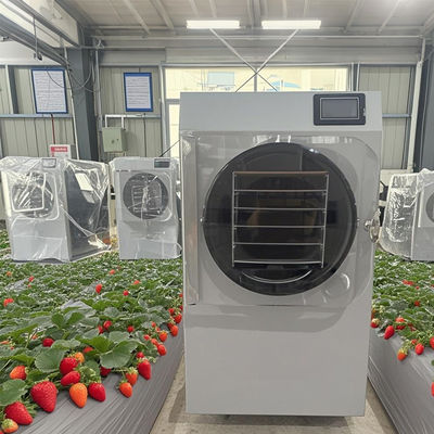 6 kg Vriesdrogers R & D naar kleine productie met touchscreen PLC