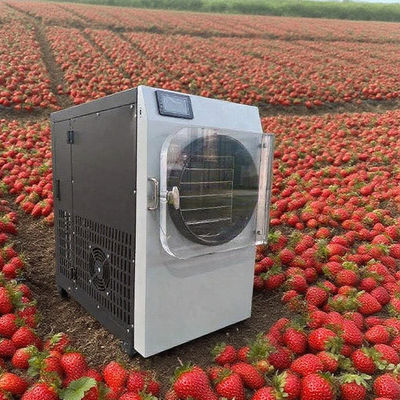 Commerciële vriesdroger met 304 roestvrij staal & Bosch pomp - Zeer efficiënte vriesdroger