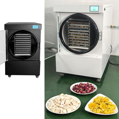 220V/50-60HZ Kleine vriesdroger van SUS304 roestvrij staal voor het drogen