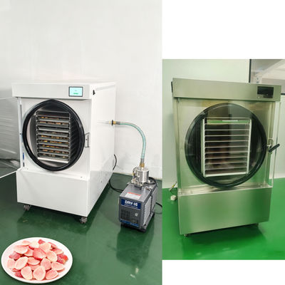 Vriesdrooghuishoudelijke vriesdroger met tweetraps Baosi vacuümpomp en SUS304 roestvrijstalen behuizing