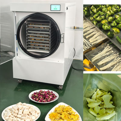24-30 Hours Freeze Dry Cycle Household Freeze Dryer with Two-stage Baosi Vacuum Pump and Vaccum Pump