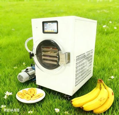 Makkelijke thuisvriezer drooger Bewaar de oogst van uw tuin Gemakkelijk te gebruiken, perfect voor tuiniers