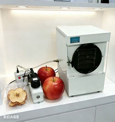 oogst direct thuis behoud tuin overvloed, maaltijden, snacks behoudt 97% voeding compact ontwerp, gebruiksvriendelijk voor gezond leven