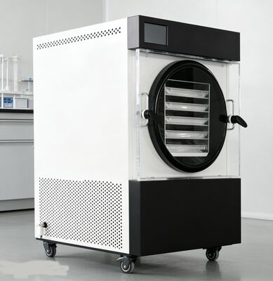 Waarom genoegen nemen met kant-en-klaar? Onze thuis vriesdroger stelt ons in staat om familierecepten, seizoensgebonden oogst en bulkvlees te bewaren voor een fractie van de kosten — smaakt altijd huisgemaakt.