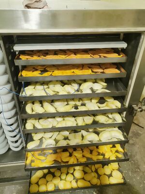 -koelinstallatie Vriesdroger Nominaal vermogen 200 kW Vriesdrogingsapparatuur voor de farmaceutische, voedingsmiddelen- en chemische industrie